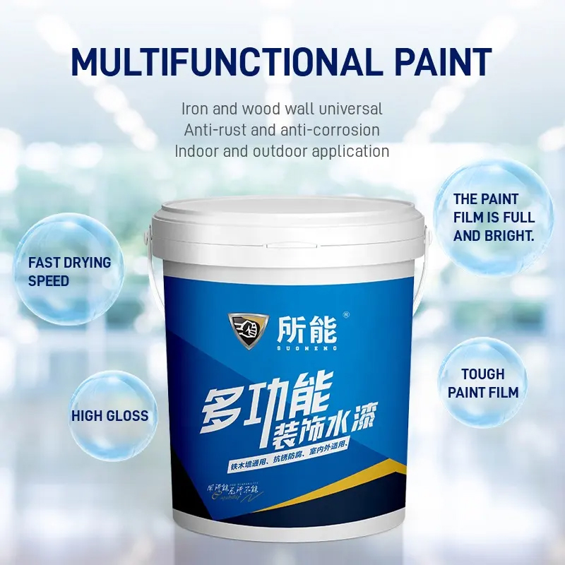 Water-Based Multifunctional Paint